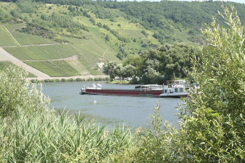 Hotel Vier Loewen Traben-Trarbach Zewnętrze zdjęcie