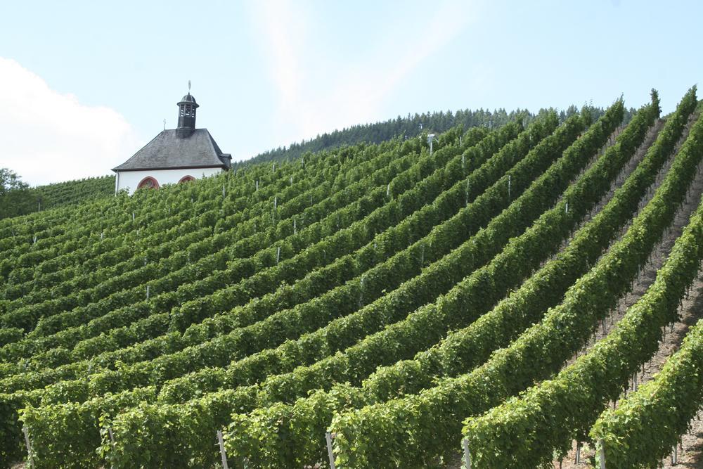 Hotel Vier Loewen Traben-Trarbach Zewnętrze zdjęcie